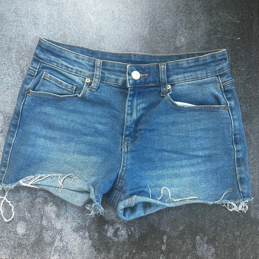 Blank NYC Denim Shorts Size 27